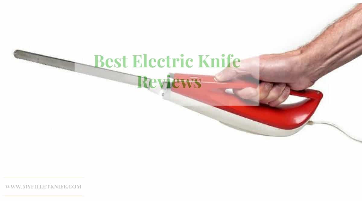 10 Best Electric Fillet Knife Review in 2019